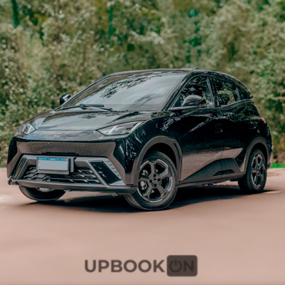 BYD vs Tesla